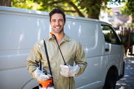 Best Fumigation Services  in Negaunee, MI